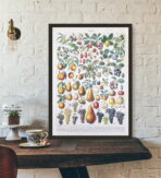 vintage frucht poster