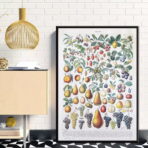 vintage frucht poster