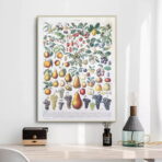 vintage frucht poster