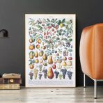 vintage frucht poster