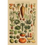 vintage gemuse poster