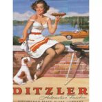 vintage pin up poster 2