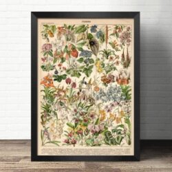 wildblumen poster