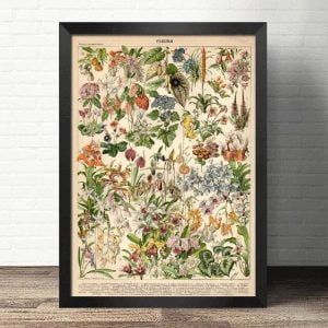 wildblumen poster