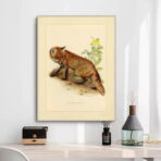 vintage fuchs poster