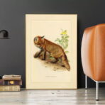 vintage fuchs poster