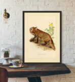 vintage fuchs poster