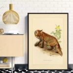 vintage fuchs poster