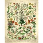 vintage blumen poster