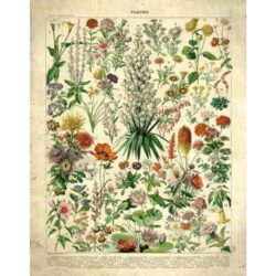 vintage blumen poster