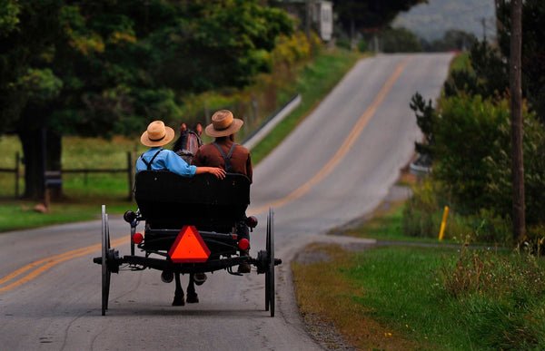 qui sont les amish amish charette