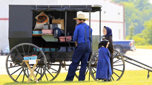 qui sont les amish amish mode de vie