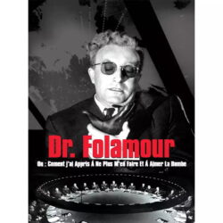 dr foolamour poster 1