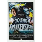 frankenstein junior poster 1