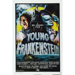 frankenstein junior poster 1