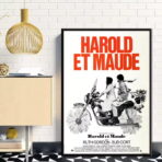 harold und maude poster