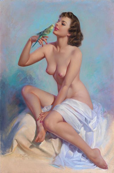 histoire des pin-up poster pin-up