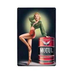 motul plakette