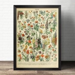 vintage blumen poster 1