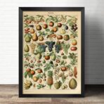 vintage frucht poster 1