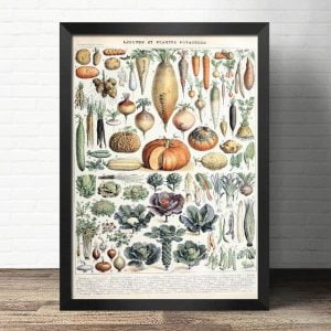 alt gemuse poster