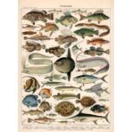 poster vintage fisch