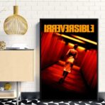 poster irreversibel
