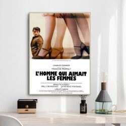 poster der mann der frauen liebte