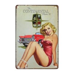 pin up metallschild