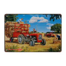 massey ferguson metallplatte