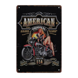 metallplatte motorrad pin up