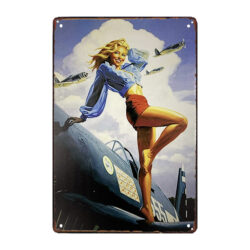 pin up metallplatte mit flugzeug