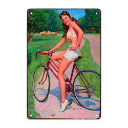 metallplatten pin up bike